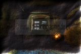 225---KELLER---Biermann-Villa Gera